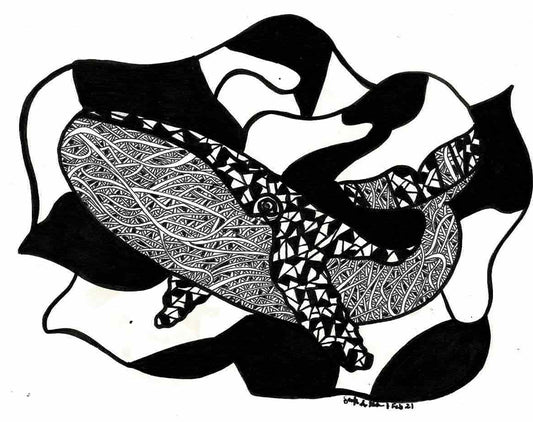 Black and White  Blue Whale