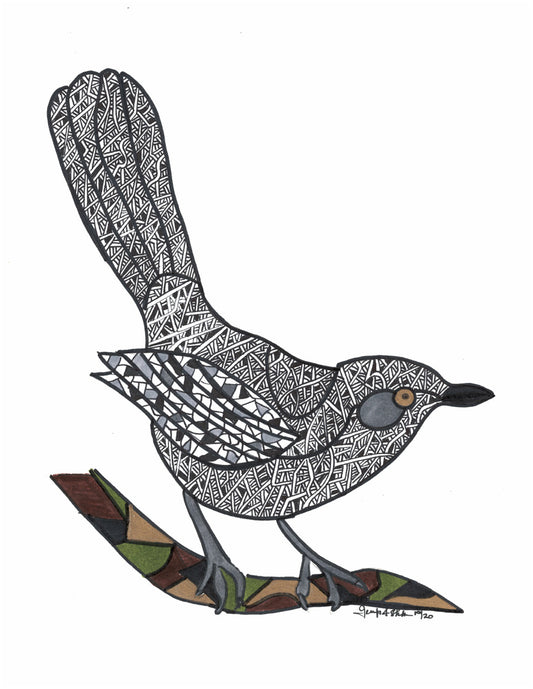 Josephine- Northern Mockingbird