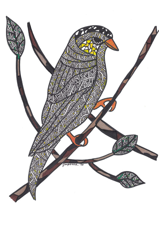 American Goldfinch
