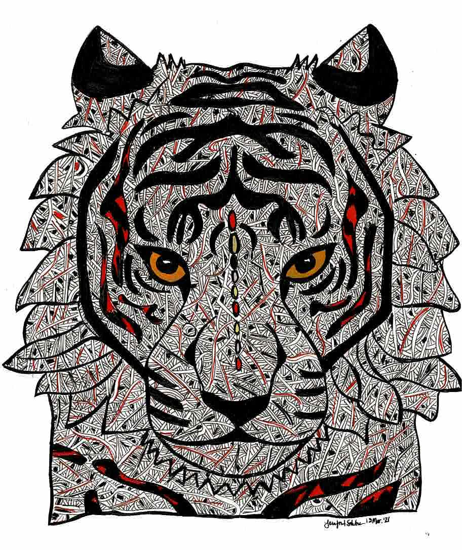 Blane- Bengal Tiger