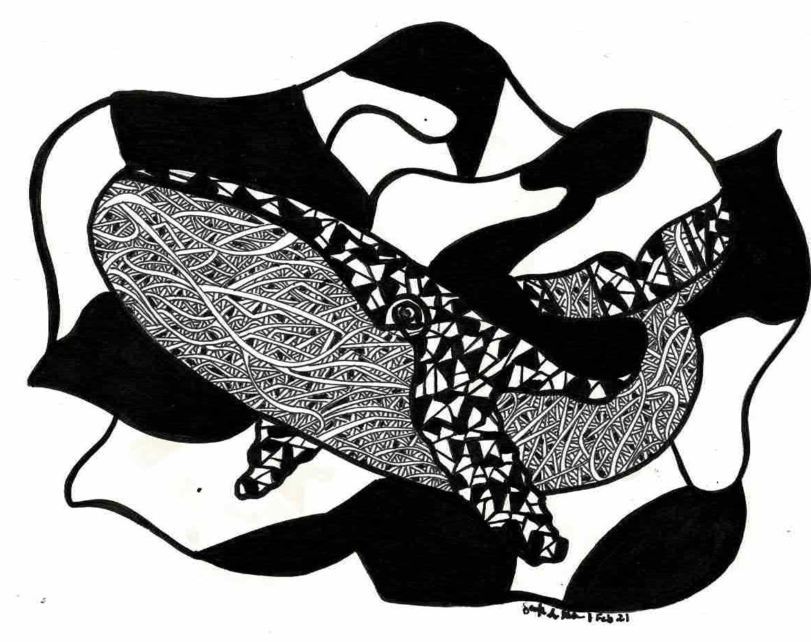 Black and White  Blue Whale