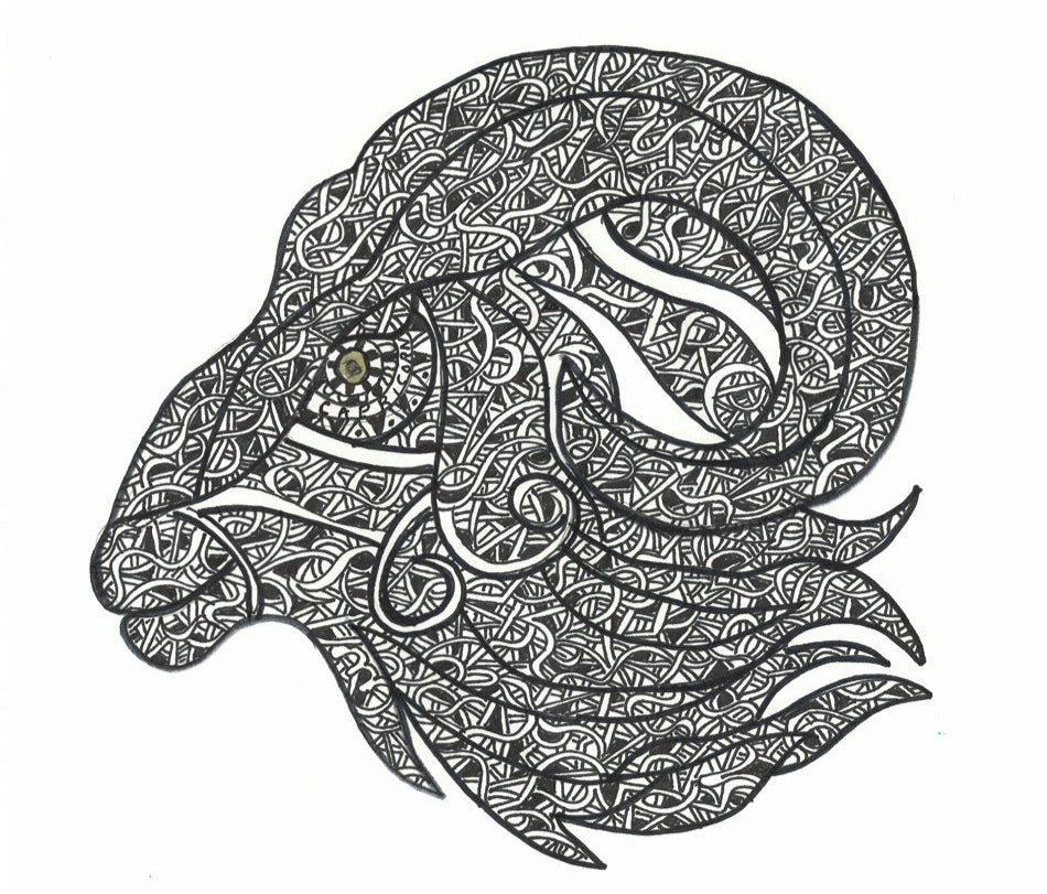 Capricorn